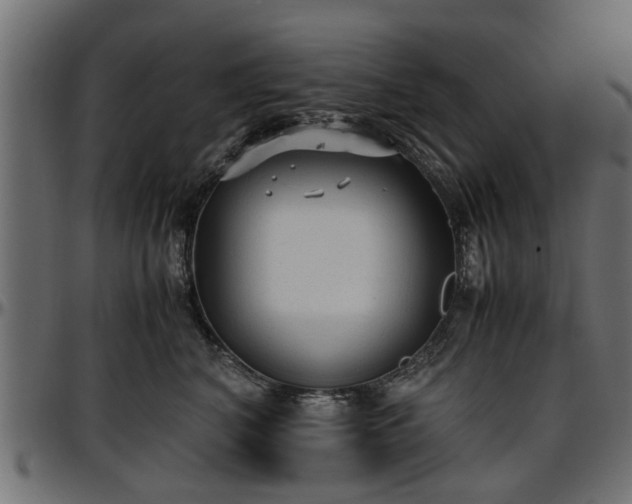 X0000096730616200802121316