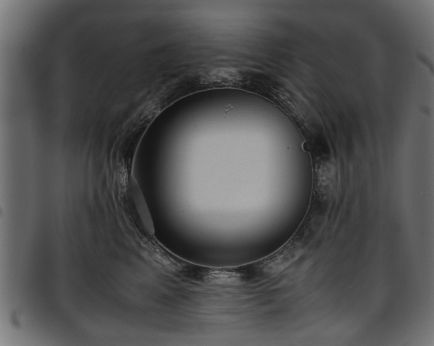 X0000096730617200802121316