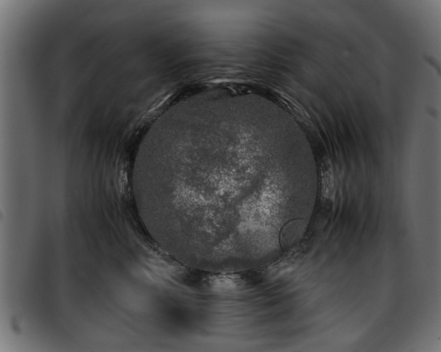 X0000096730618200802121316