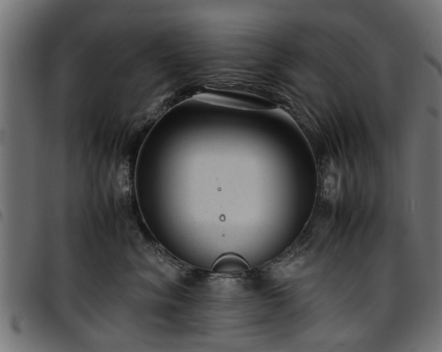 X0000096730620200802121316
