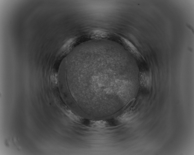 X0000096730621200802121316