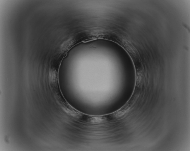 X0000096730623200802121316