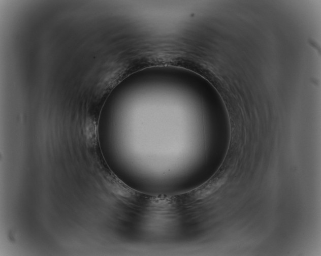 X0000096730624200802121316