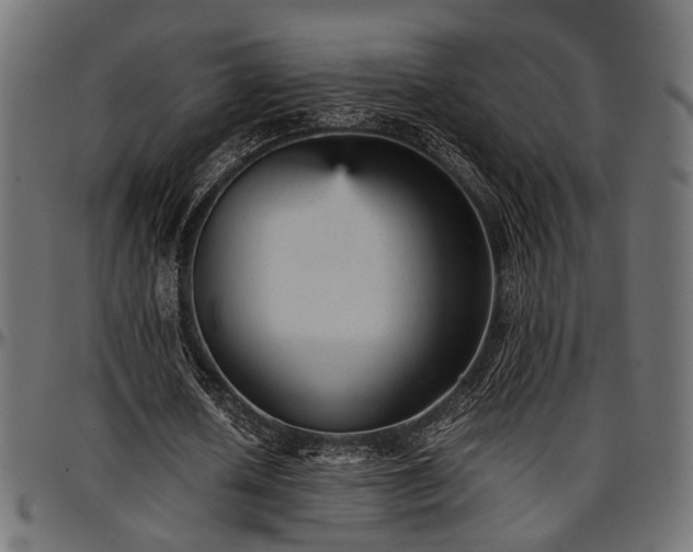 X0000096730626200802121315