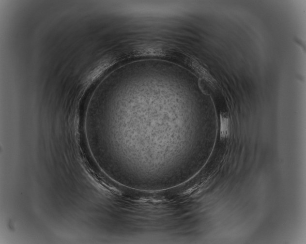 X0000096730627200802121315