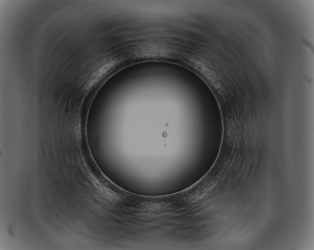 X0000096730629200802121315