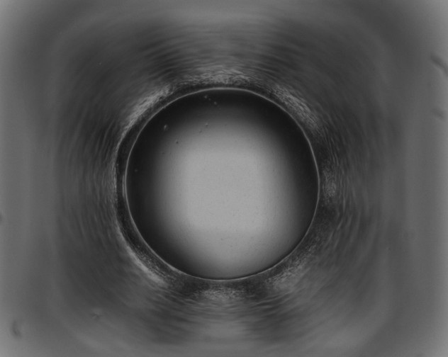 X0000096730630200802121315