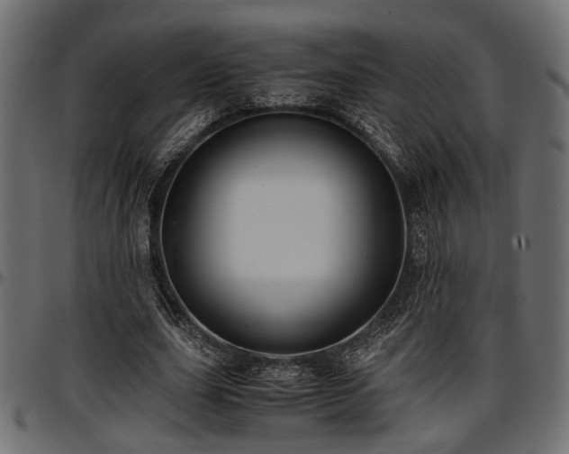 X0000096730631200802121315