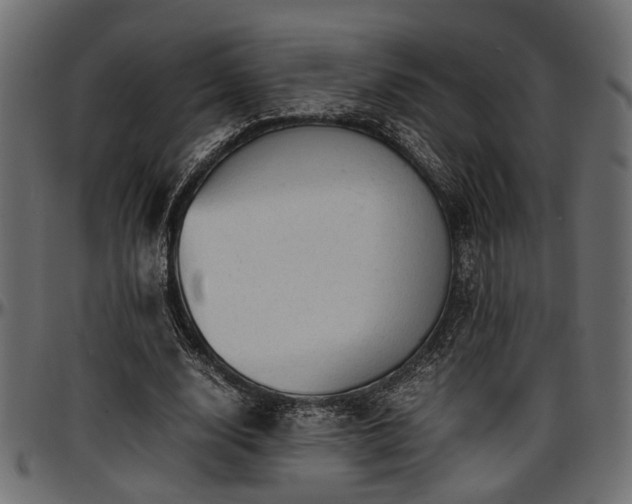 X0000096730632200802121315