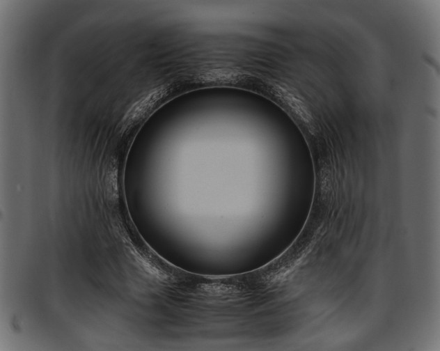 X0000096730633200802121315