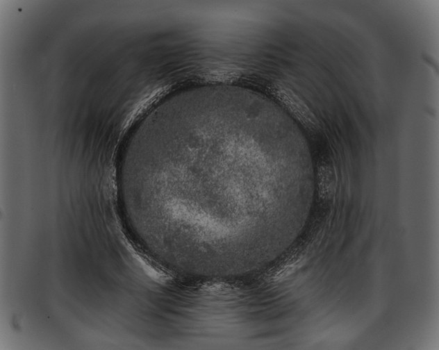X0000096730634200802121315