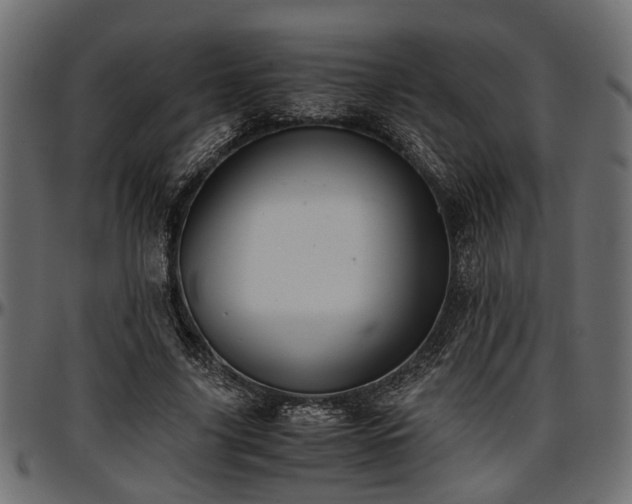 X0000096730635200802121315