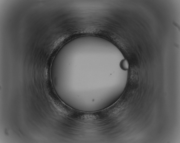 X0000096730636200802121315