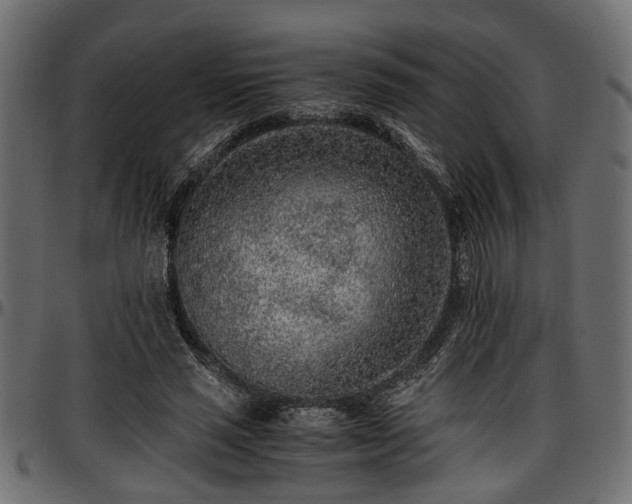 X0000096730637200802121315