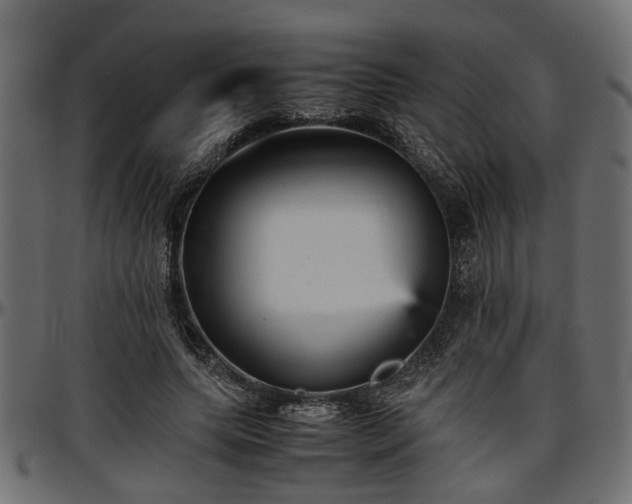 X0000096730639200802121315