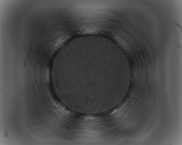 X0000096730640200802121315