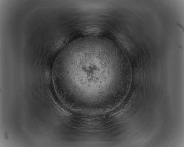 X0000096730641200802121316