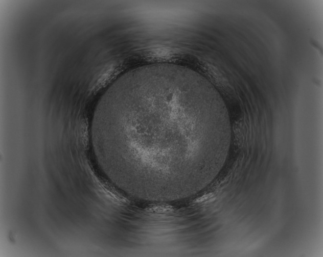 X0000096730642200802121316
