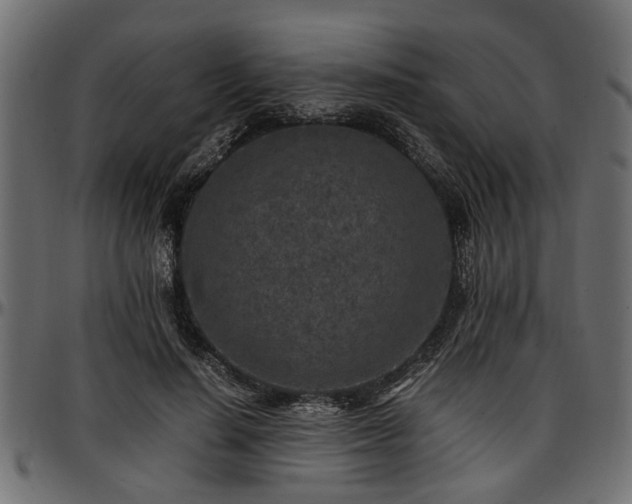 X0000096730644200802121316
