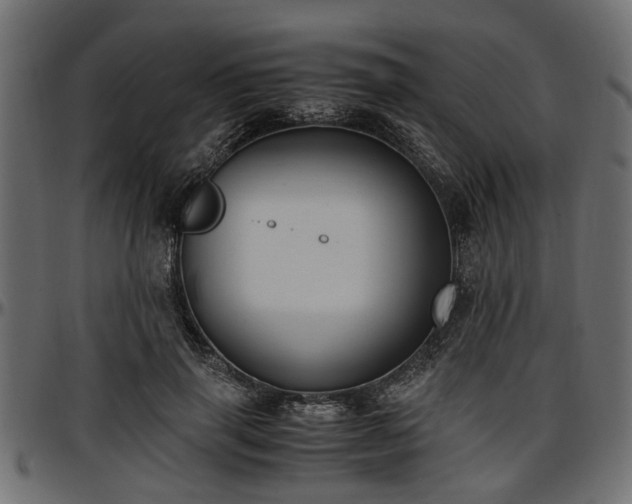 X0000096730645200802121316