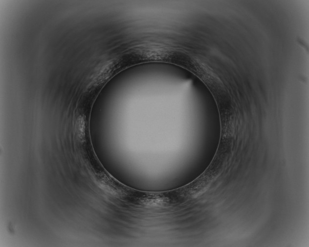 X0000096730646200802121316