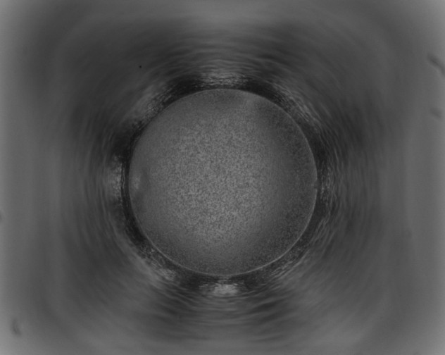 X0000096730647200802121316