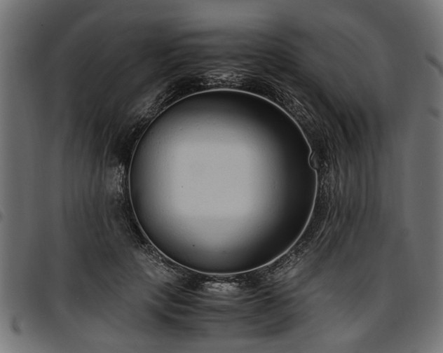 X0000096730649200802121316