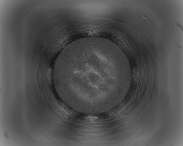 X0000096730650200802121316