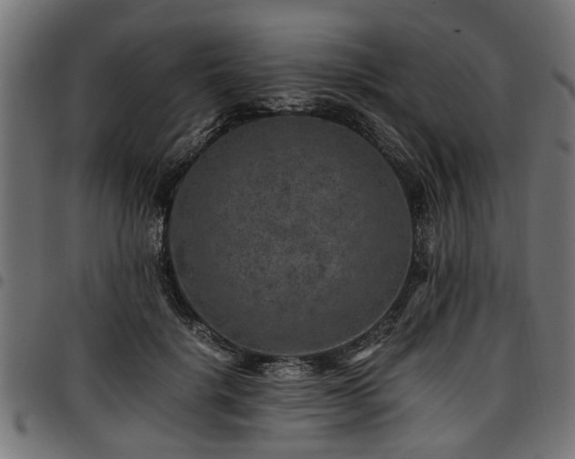 X0000096730652200802121316