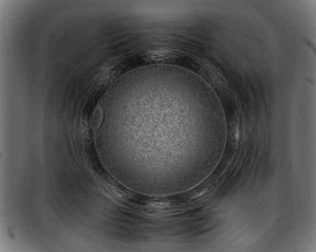 X0000096730653200802121316