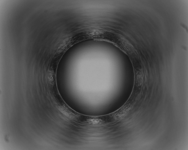 X0000096730654200802121316