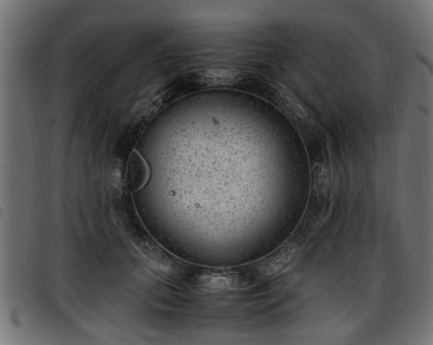 X0000096730655200802121316