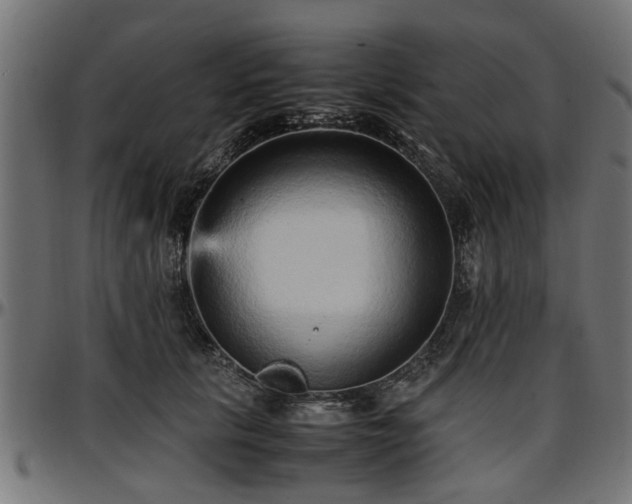 X0000096730657200802121316