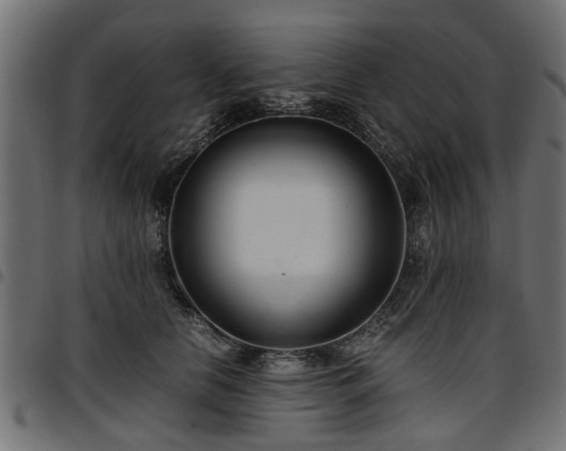 X0000096730658200802121316
