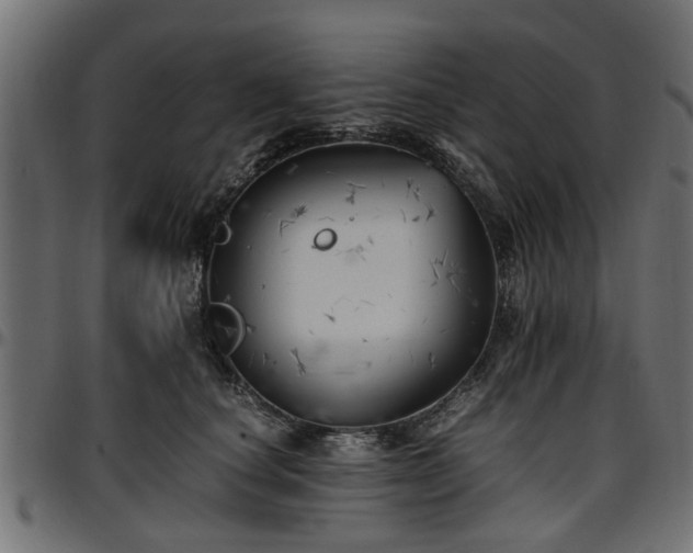 X0000096730660200802121316