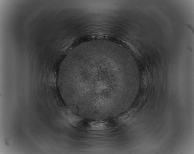 X0000096730661200802121316