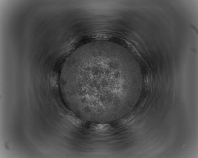 X0000096730663200802121316