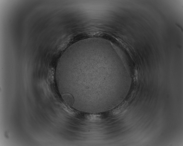 X0000096730664200802121316