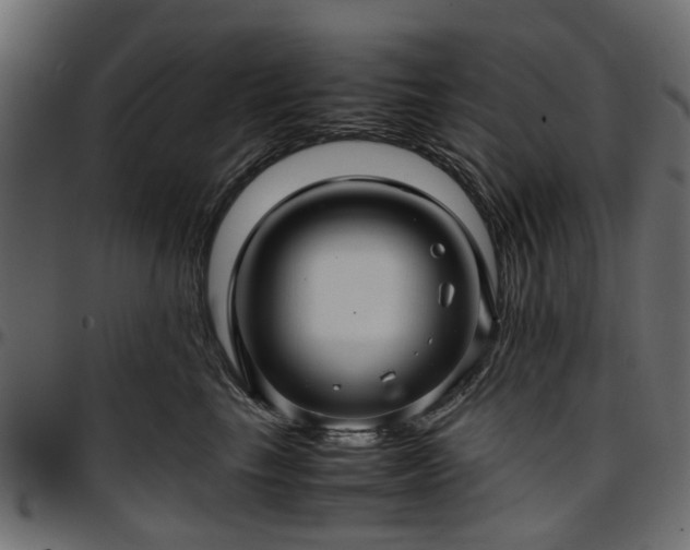 X0000096730665200802121316