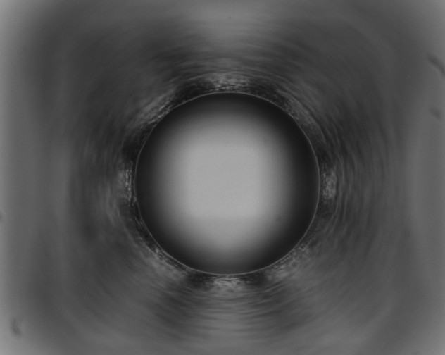 X0000096730666200802121316
