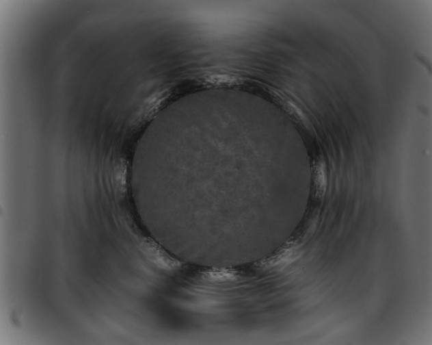 X0000096730668200802121316