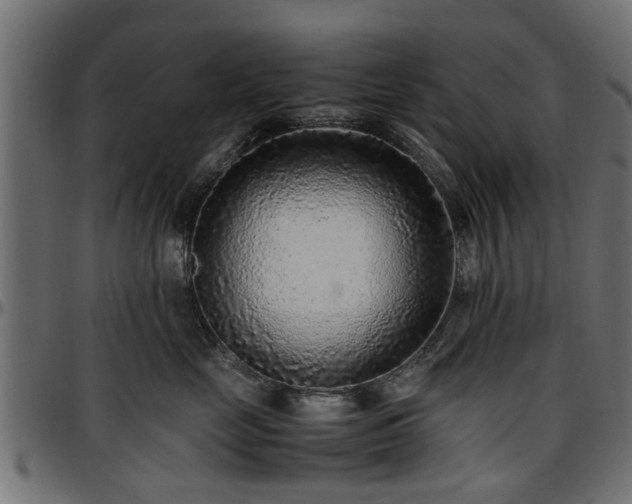 X0000096730669200802121316