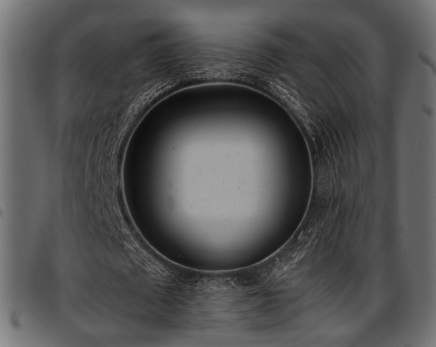X0000096730673200802121315