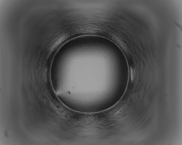 X0000096730675200802121315