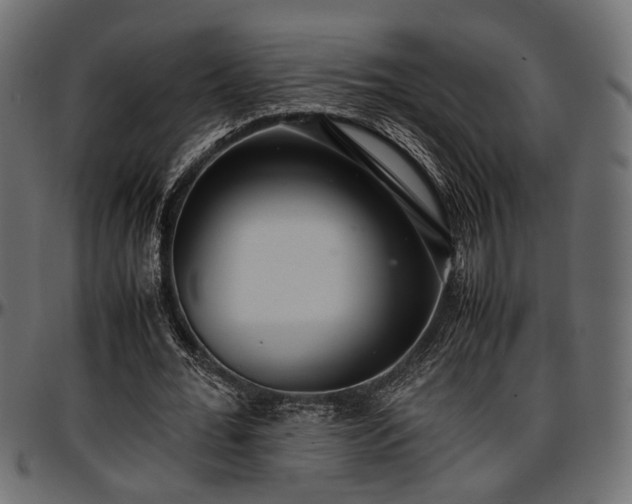 X0000096730676200802121315