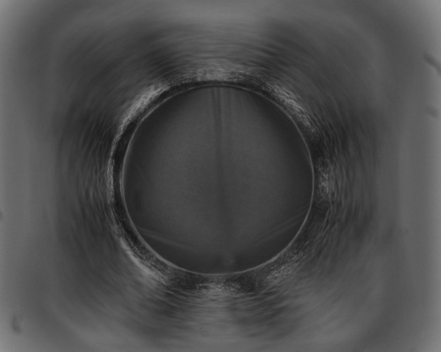 X0000096730678200802121315