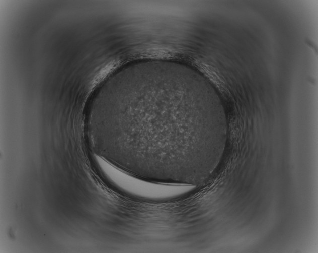 X0000096730679200802121315