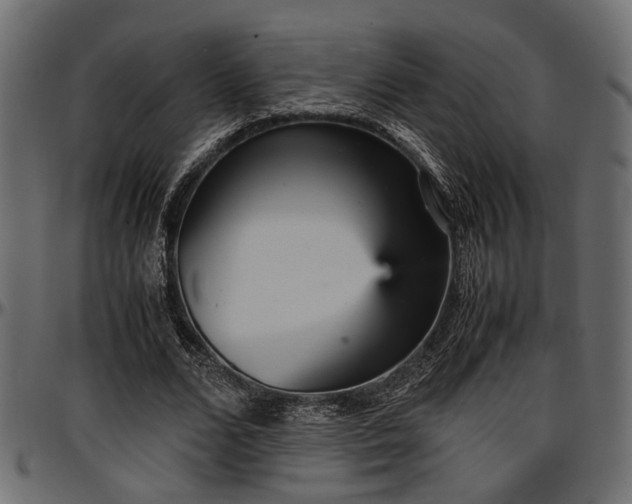 X0000096730680200802121315