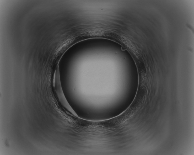X0000096730681200802121315