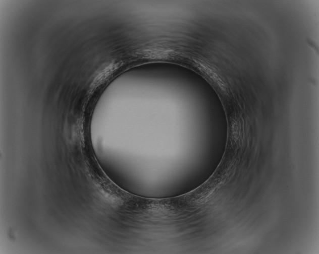 X0000096730682200802121315